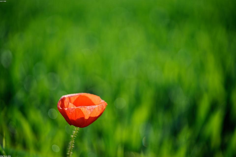 周末户外训练的轻量装备